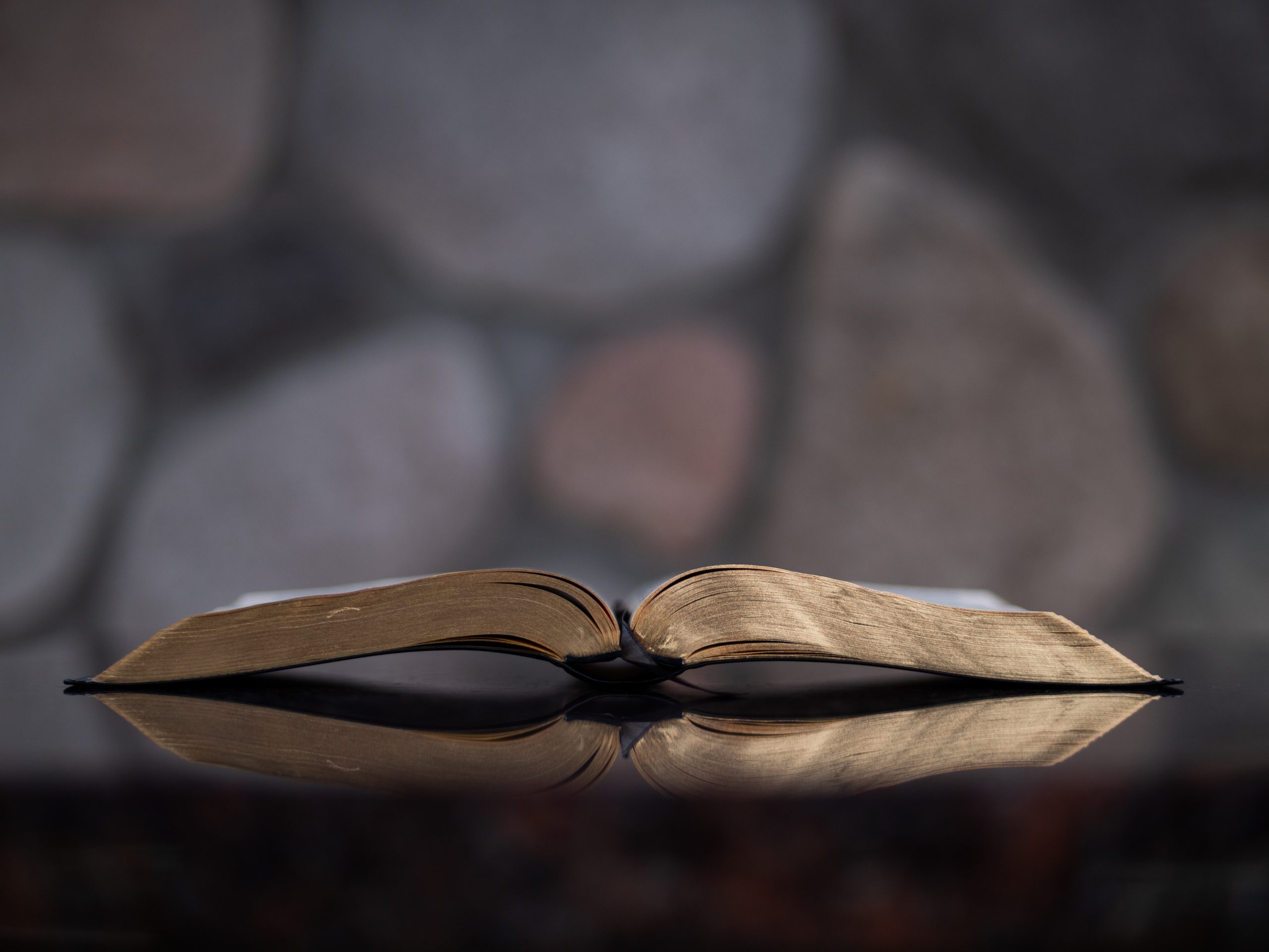 Light of Mercy